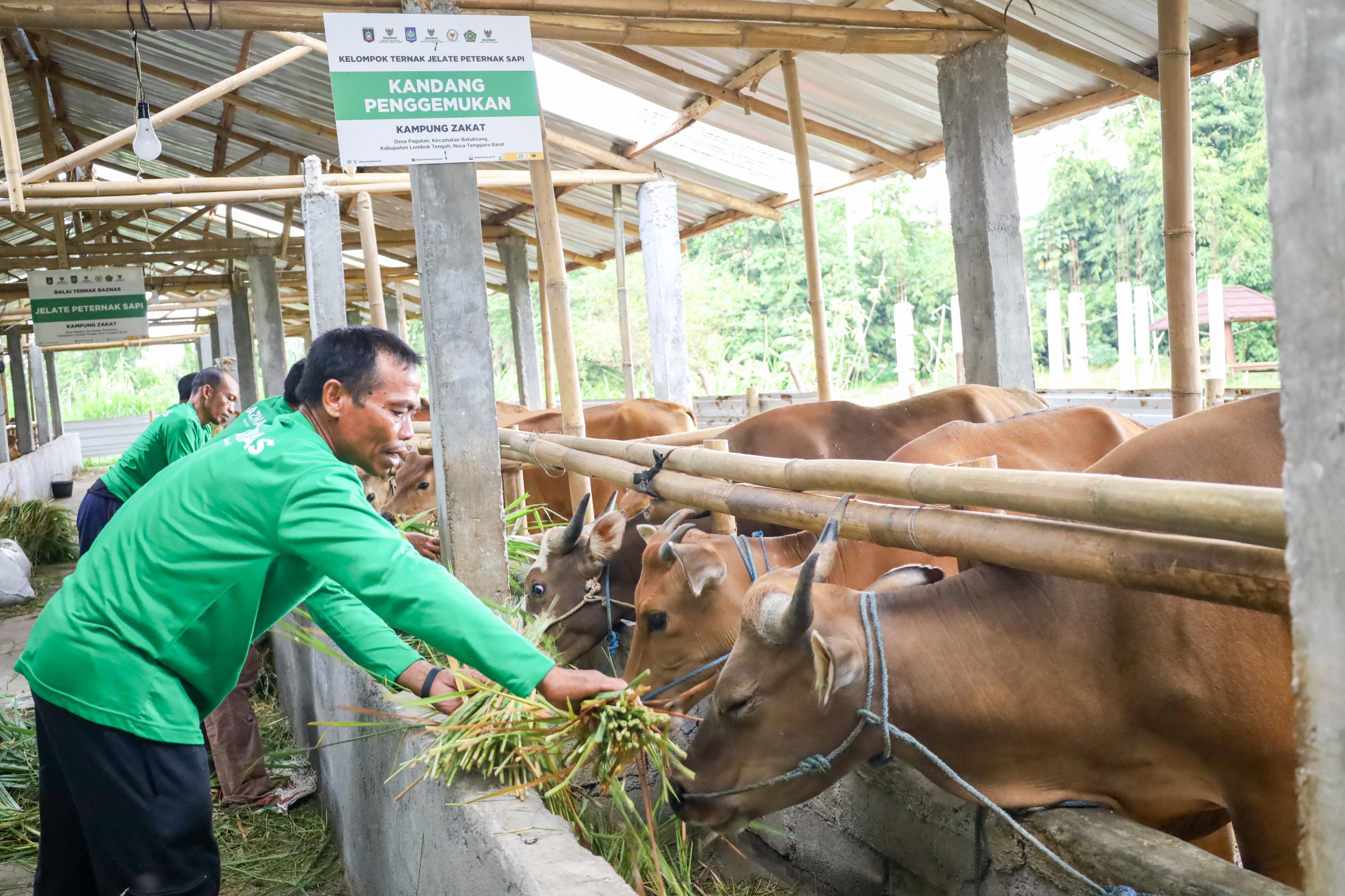 Baznas Expands Digital Qurban Savings Service