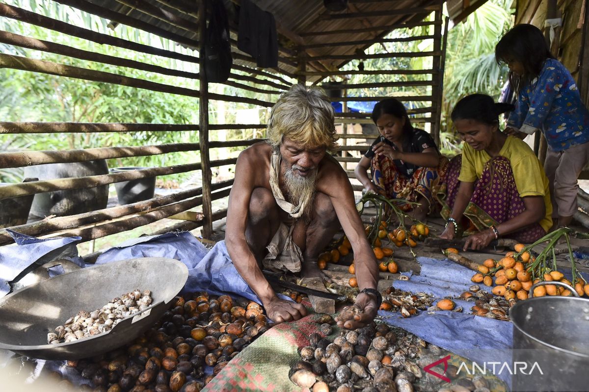 Adaptation of Orang Rimba Habits Due to Environmental Changes
