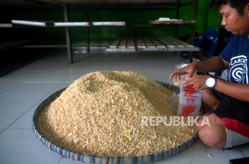 Indonesian Navy Reports Successful Soybean Harvest of 4 Tonnes Per Hectare