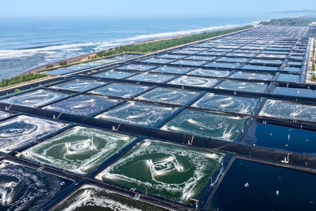 Charting a new direction for food self-sufficiency and the fisheries sector