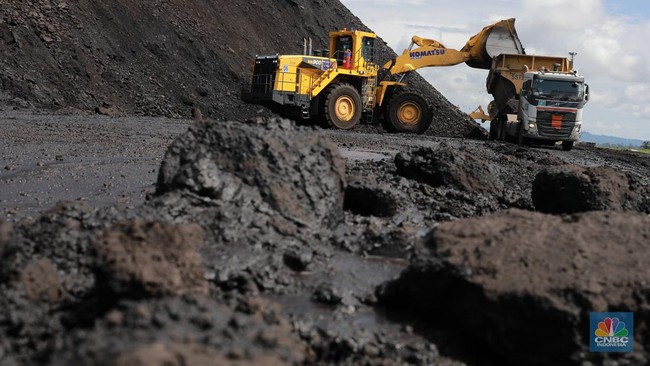 Coal and CPO in Turmoil: Global Markets Await Prabowo's New Strategy