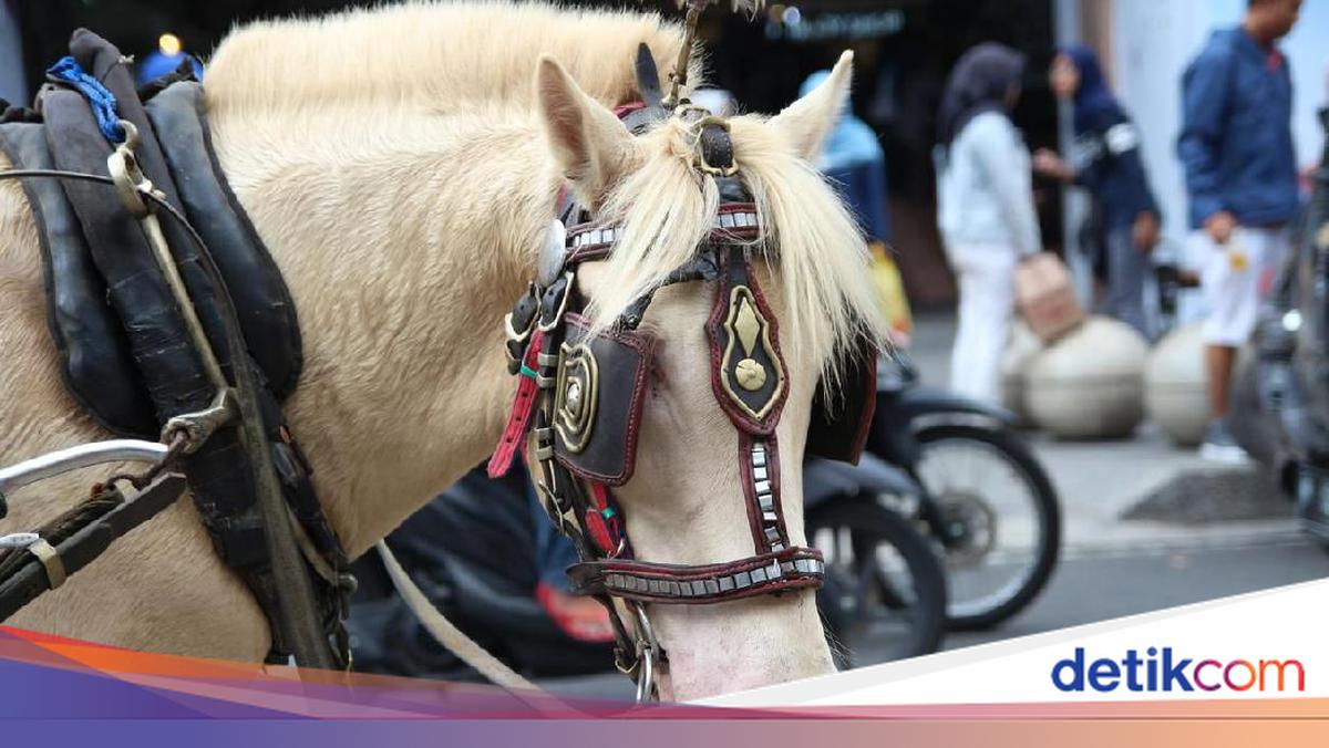 The Origin of the Term "Kusir Debate": A Horse's Flatulence