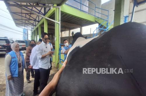 West Bandung Livestock Service Takes Steps to Address FMD in Sacrificial Animals