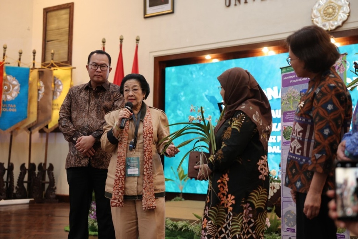 Megawati Weeps Watching Documentary on Indigenous Rights, Highlights Forest and Palm Oil Destruction