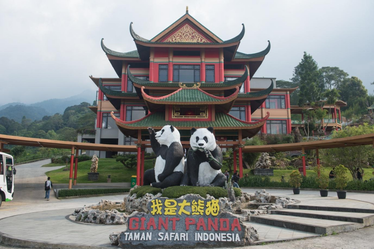 Giant panda cub Rio set for public debut from end of May