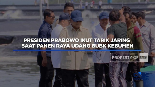 President Prabowo Joins Shrimp Harvest in Kebumen
