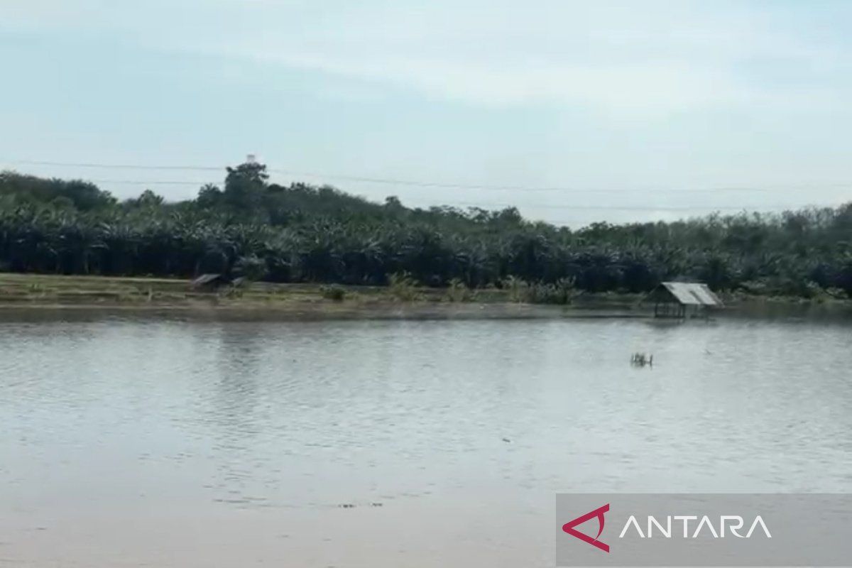 Extreme weather prompts Bengkulu City to deploy 24-hour disaster response team
