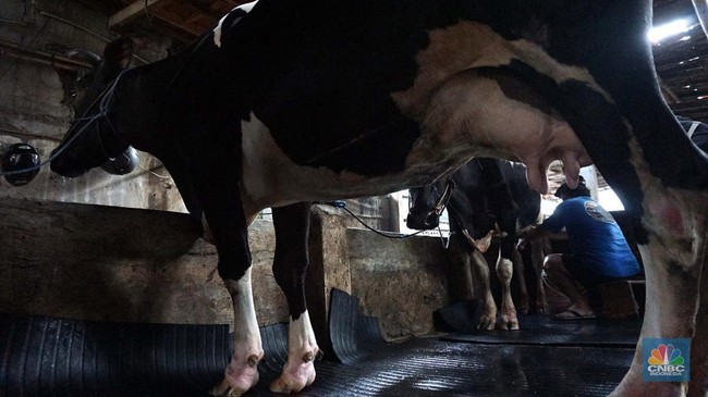 Signs of the Apocalypse Are Growing Clearer in Milk and Rice Fields