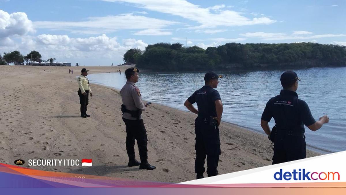 Shark Sighting in The Nusa Dua Waters Deemed Safe by ITDC