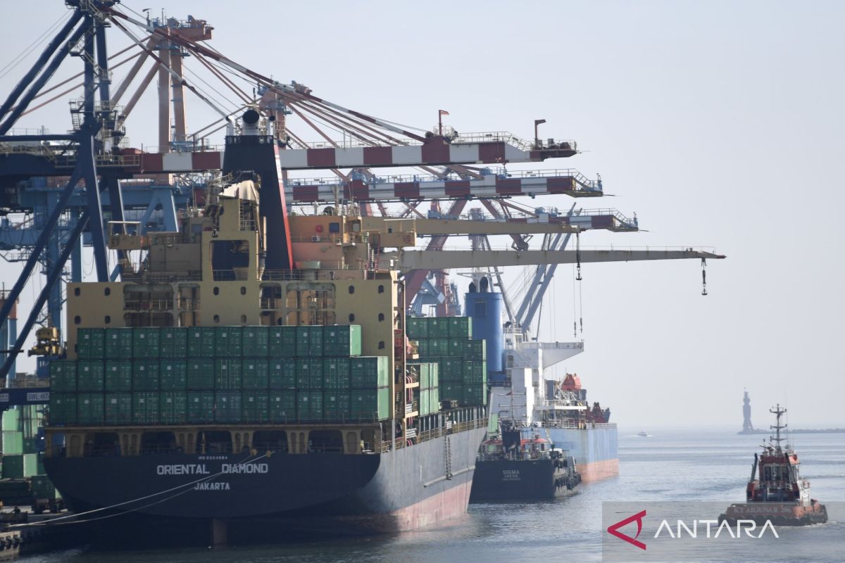 Economist: Single-channel export policy could bolster government revenue