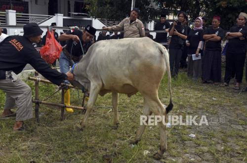 Is Qurban Required Once in a Lifetime or Annually?