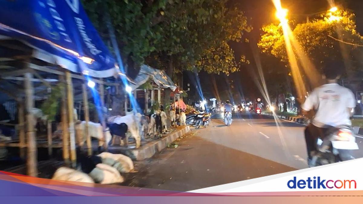 Mataram Sacrificial Animal Vendors Asked to Relocate Stalls from Pavements