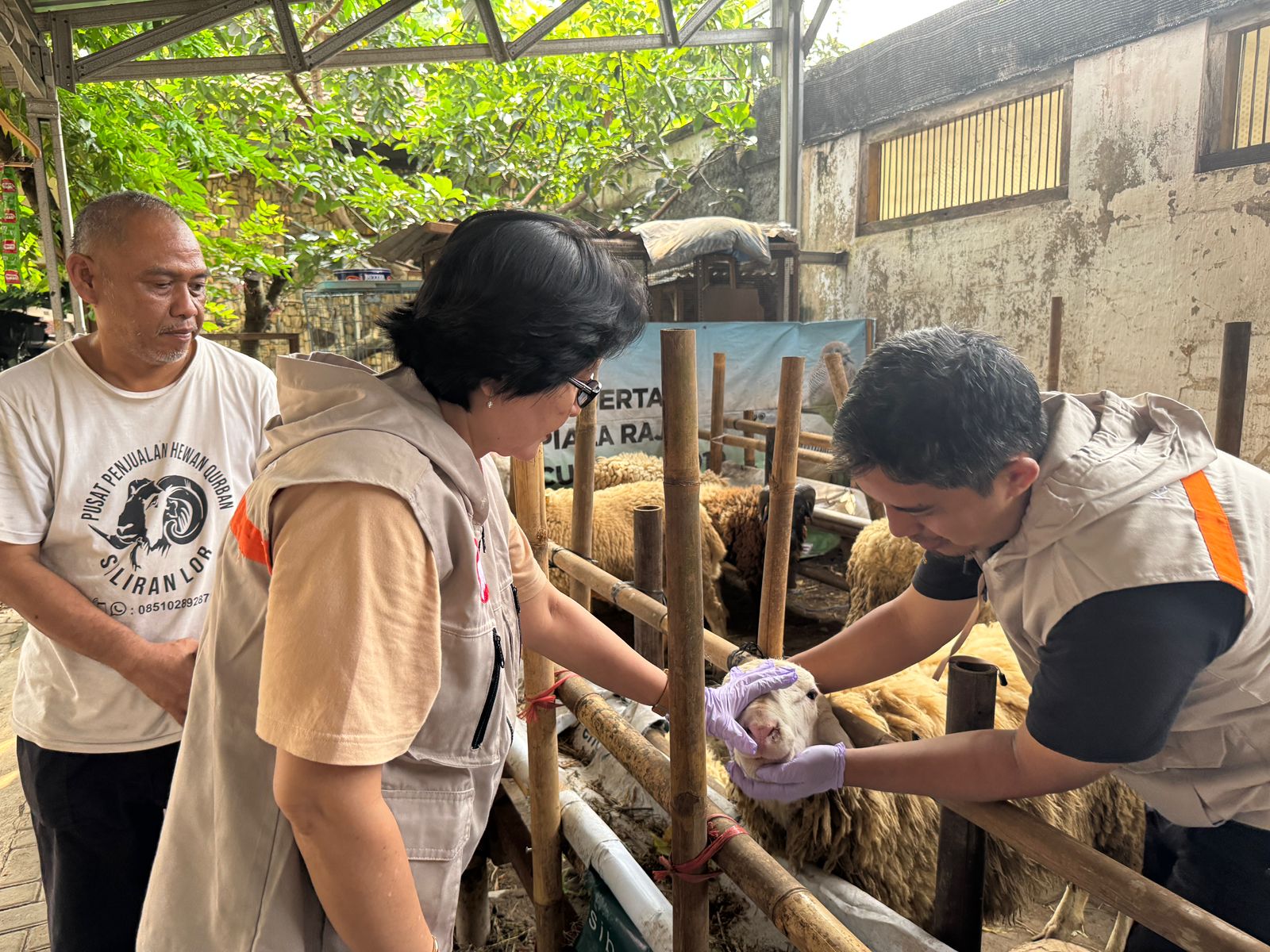 Yogyakarta Tightens Monitoring of Sacrificial Animals