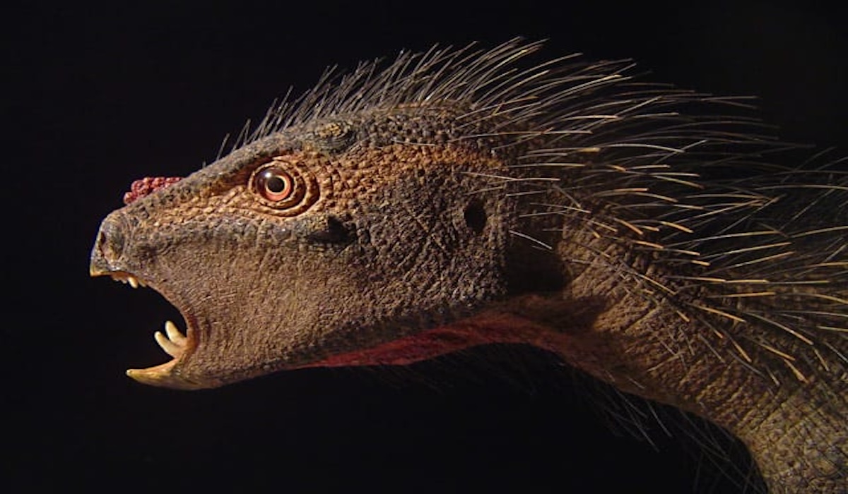Unique herbivorous dinosaur Pegomastax africanus has tusks and spiny body