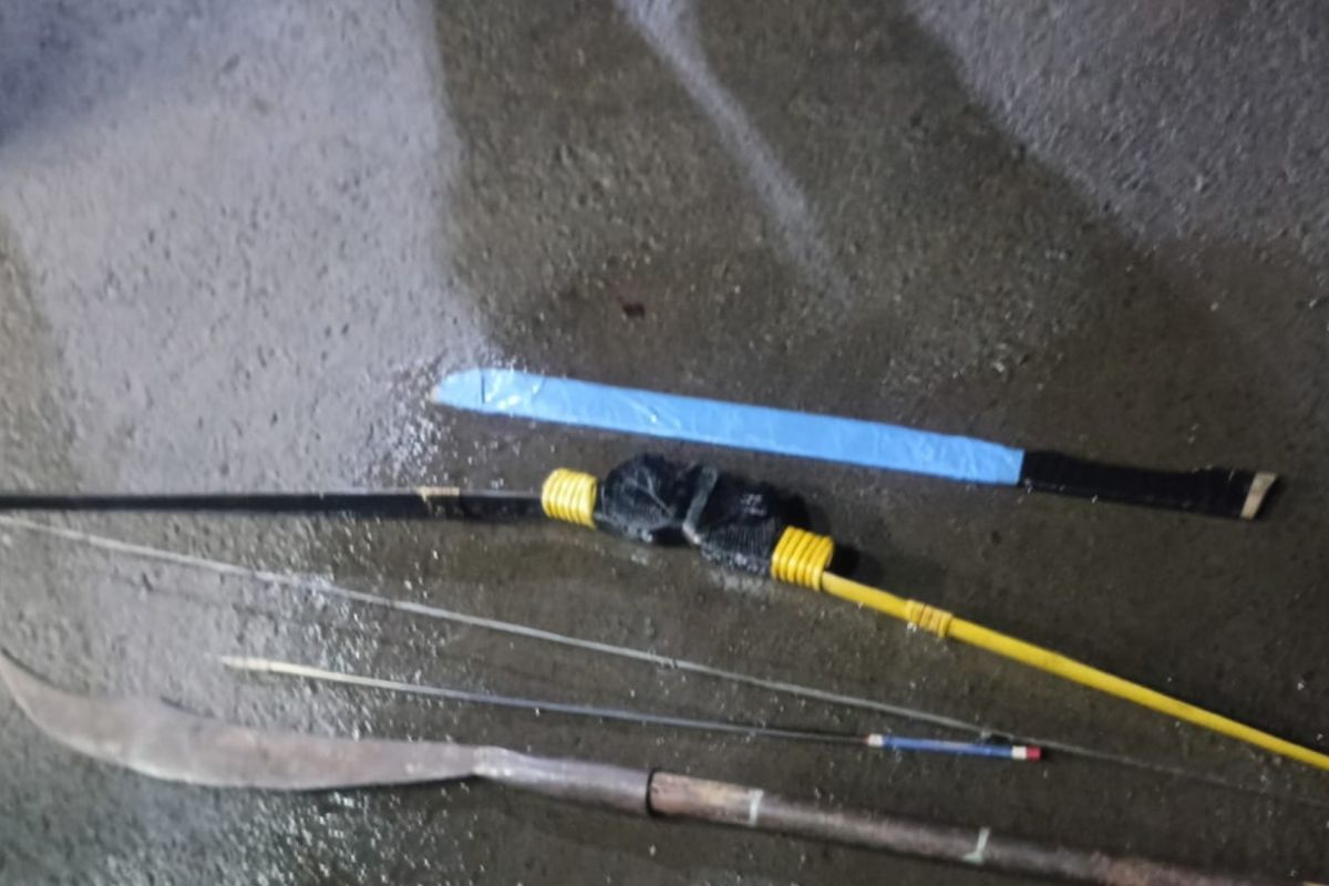 Police arrest two teenagers armed with bladed weapons during patrol to prevent planned brawl