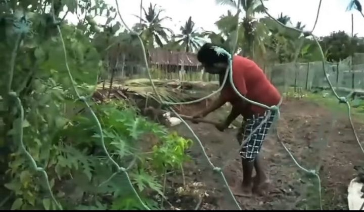 Merauke Environmental Activist Backs Papua Food Estate Project