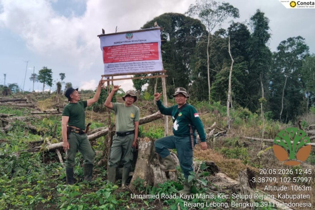 TNKS discovers 80 hectares of encroached land within Kerinci Seblat National Park in Rejang Lebong