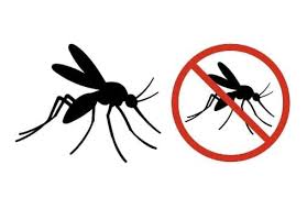 Banjarangkan I Health Centre Steps Up Mosquito Breeding Prevention to Cut Dengue Cases in Klungkung