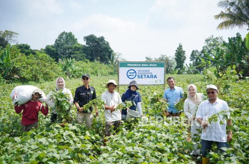 First Edamame Harvest Marks Initial Step in Strengthening Rural Economy