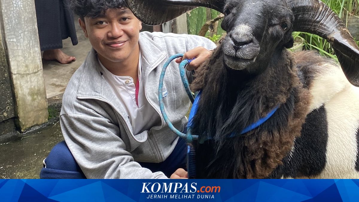 Failed to Enter Dream University, Bekasi Gen Z Turns to Goat Farming in Housing Complex