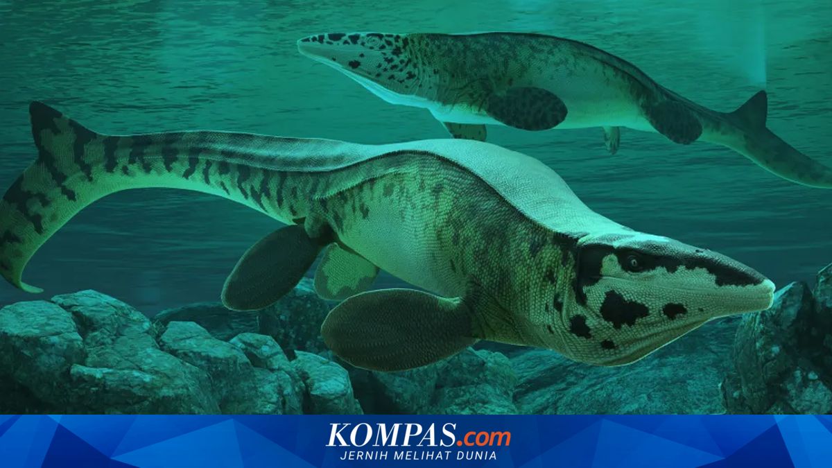Tylosaurus rex: Ancient Sea Monster as Long as a City Bus