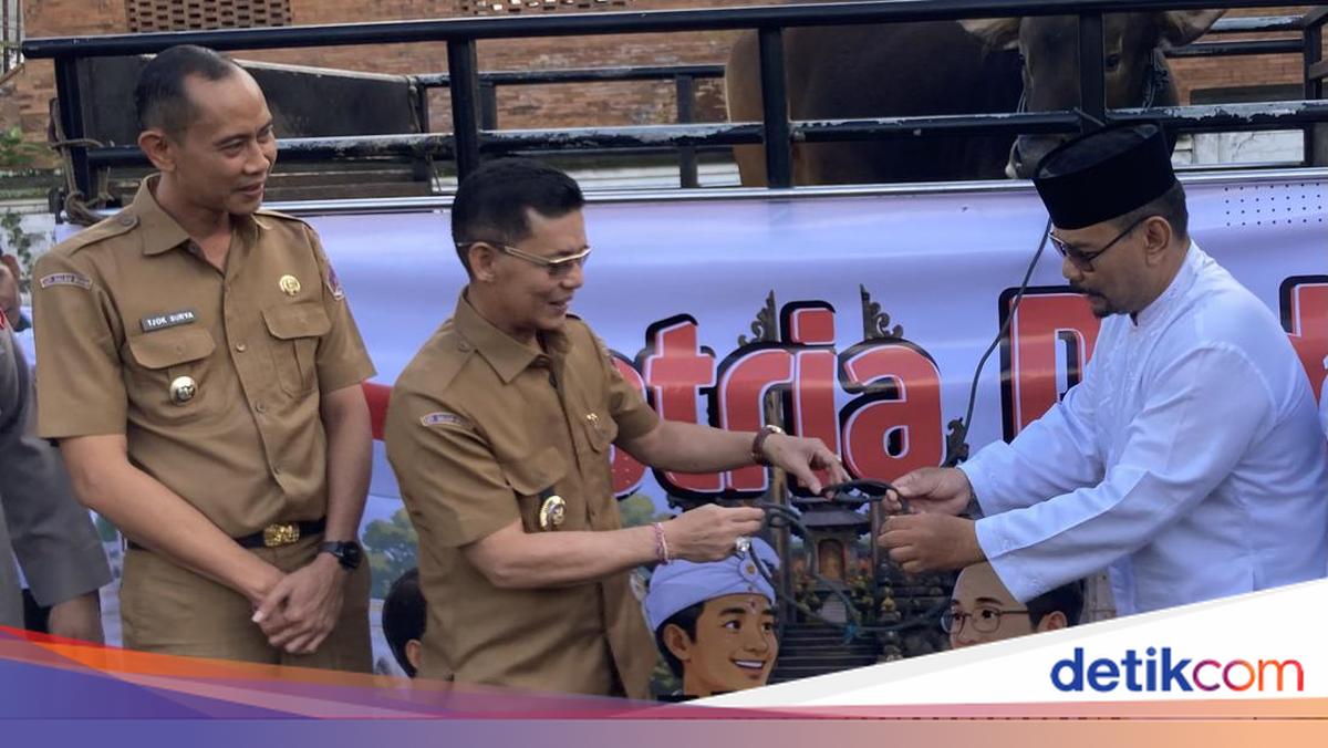 Klungkung Regency Donates Sacrificial Cow for Eid al-Adha 1447 AH