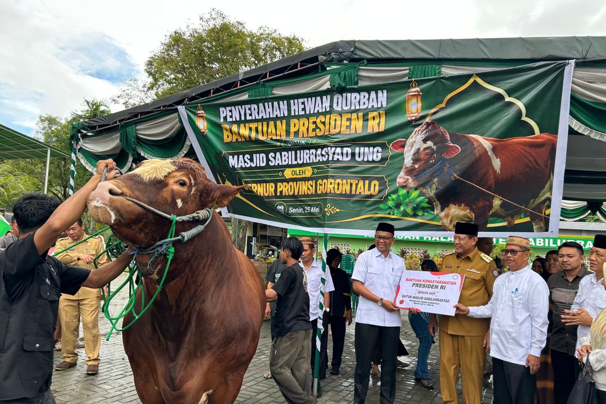 Gorontalo Governor hands over President's sacrificial cow donation to UNG mosque