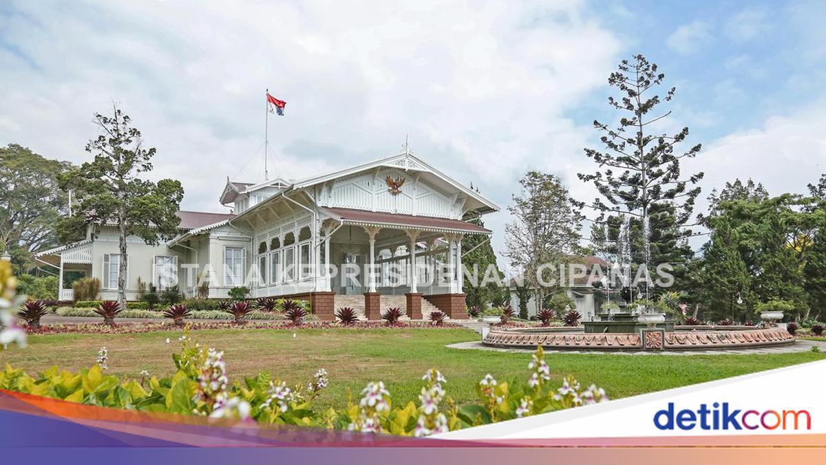 Presidential Palace Internship 2026: Schedule, Application Process and Requirements