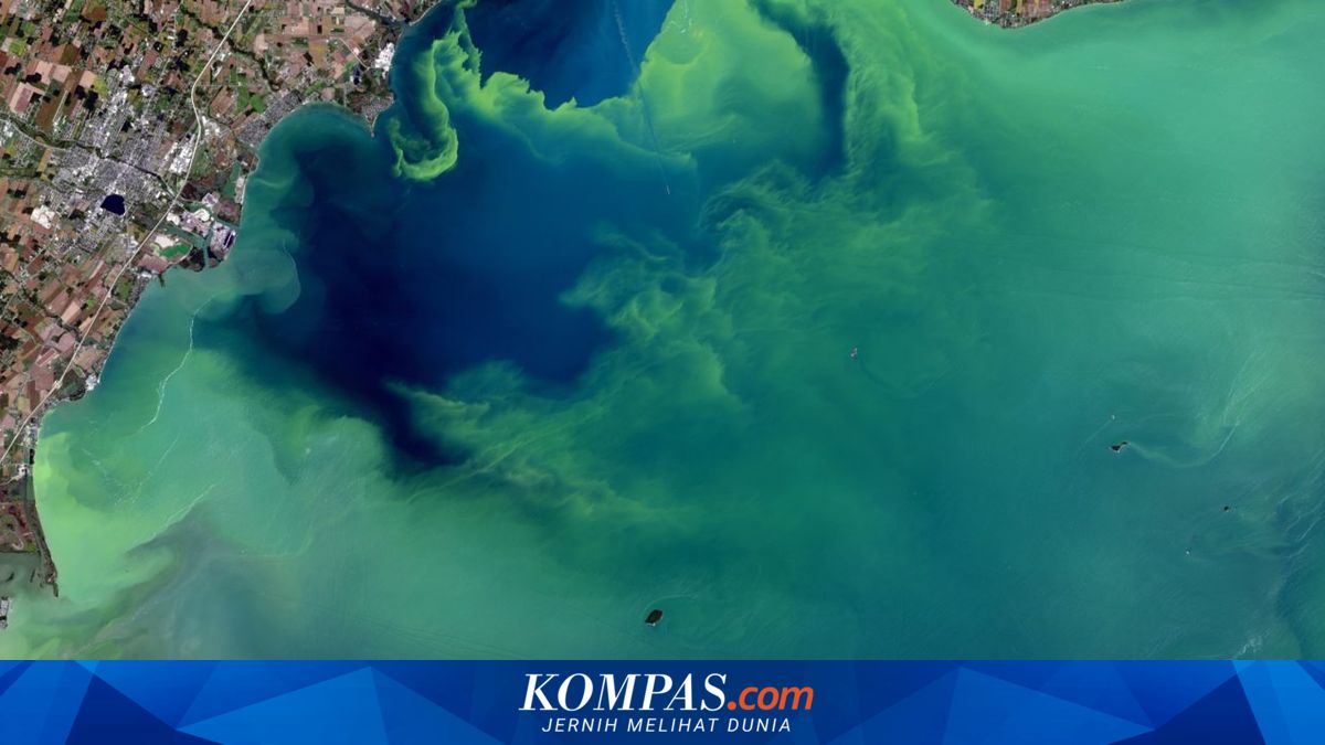 NASA Develops AI to Detect Toxic Algal Blooms