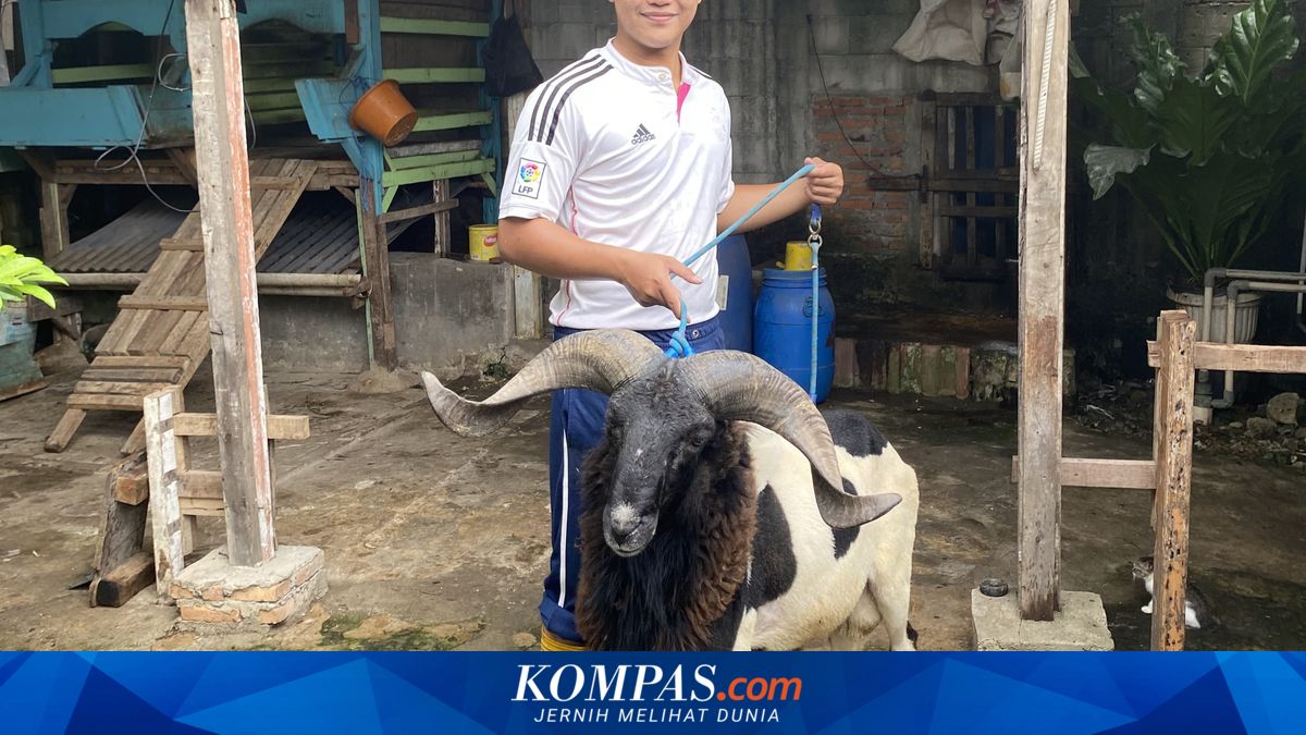 Gen Z Goat Farmer in Bekasi Uses Tempe Waste to Rapidly Fatten Goats