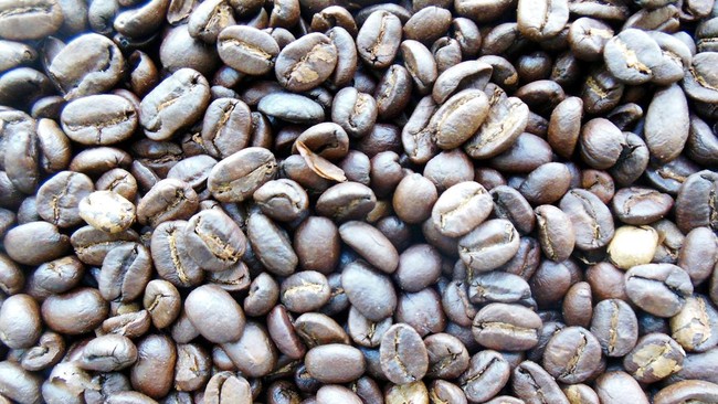 Brazil's Record Coffee Harvest and Vietnam's Surge: Will Coffee Get Cheaper?