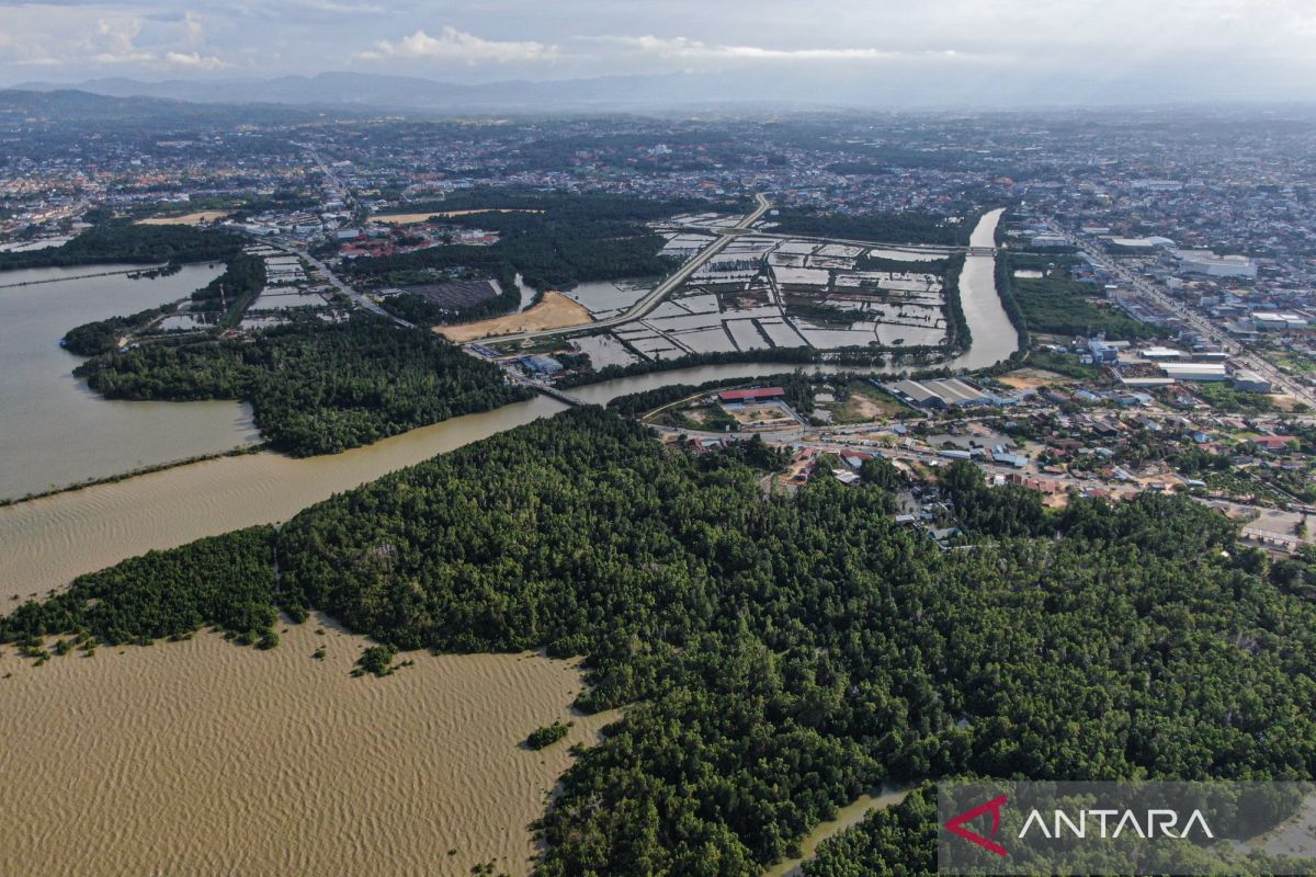 Ministry confirms forestry investment opportunities for carbon trading