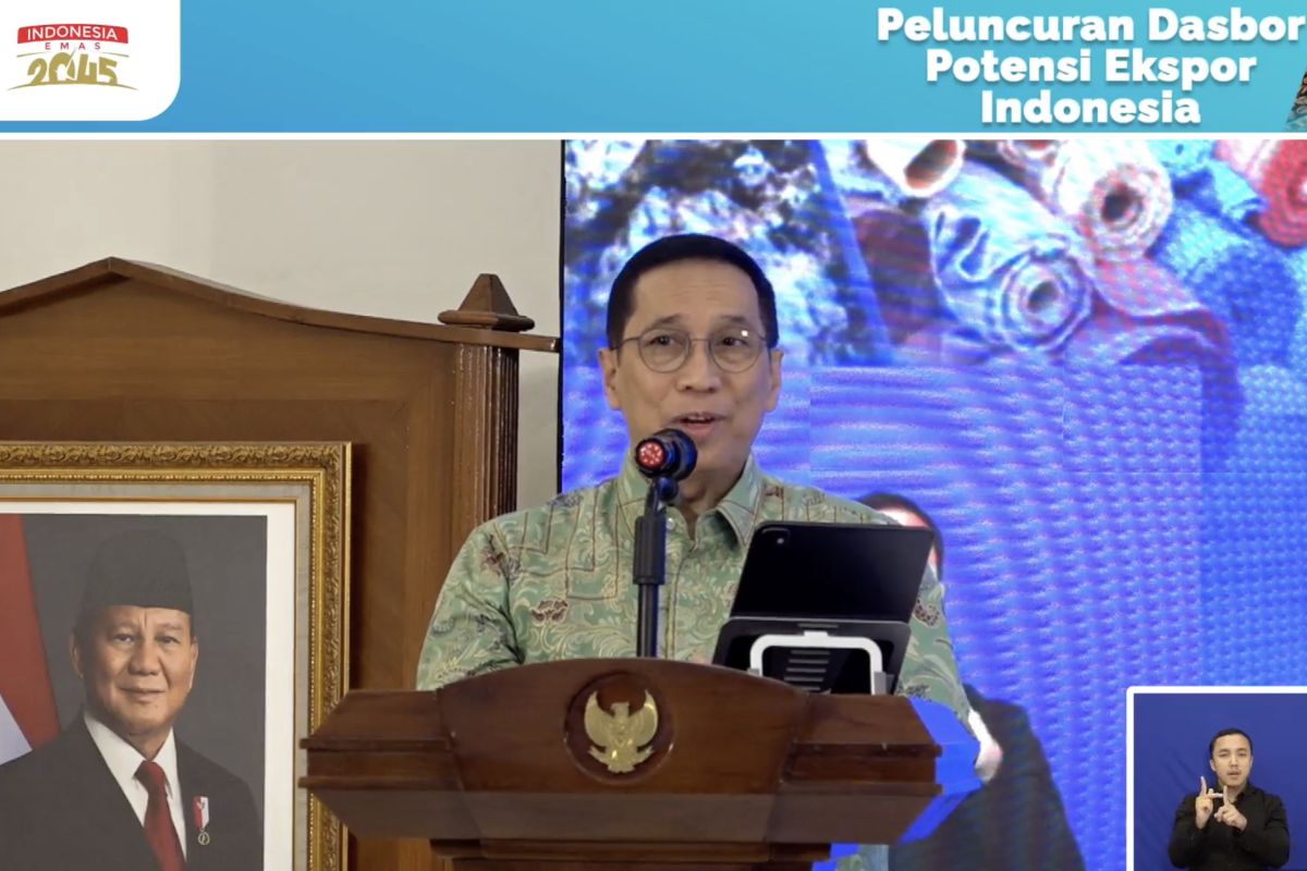 Deputy Minister for National Development Planning: Current Global Situation is 'New Normal'