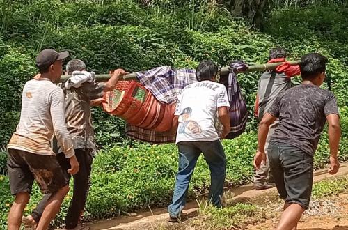 The Stretcher Republic