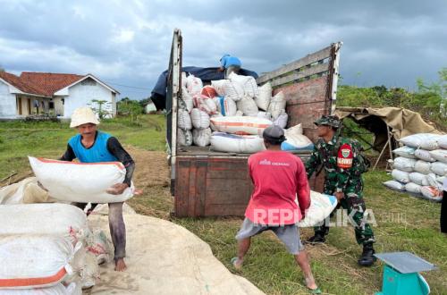 Rice Farmers' Pricing Challenges