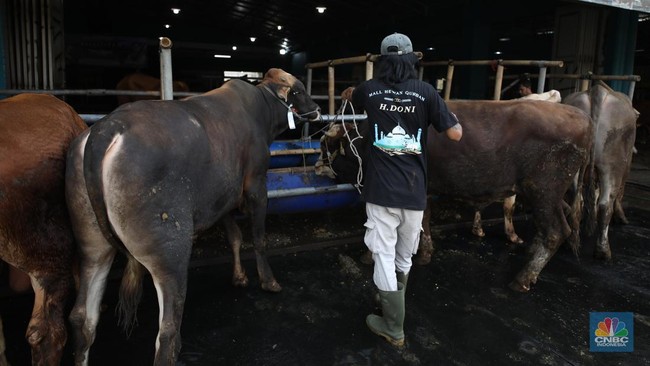 Want to perform the Eid al-Adha sacrifice but struggling to save? Insurance can help!