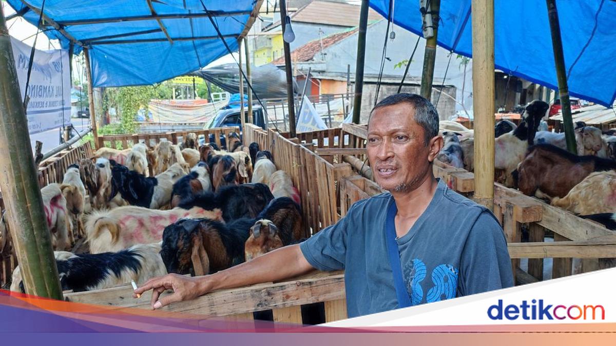 Denpasar Sacrificial Animal Vendors Lament Plummeting Sales This Year