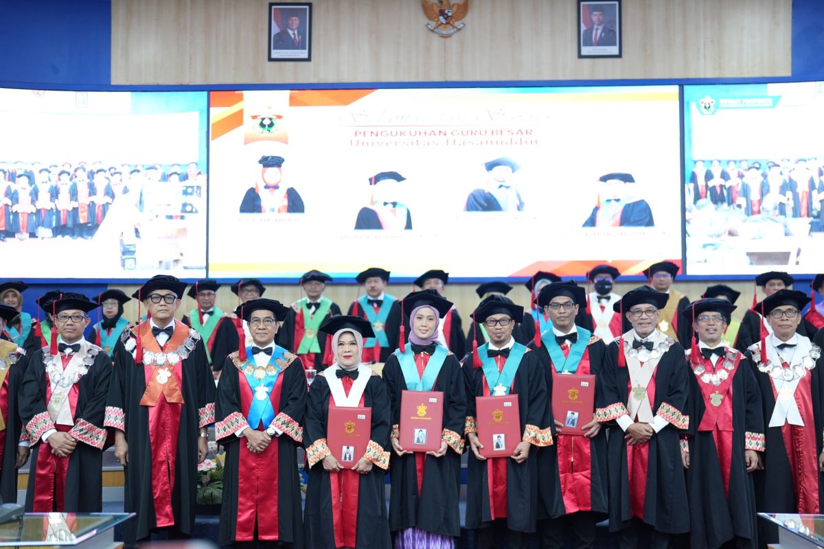 Four Unhas Professors Present Innovative Research on Food Quality