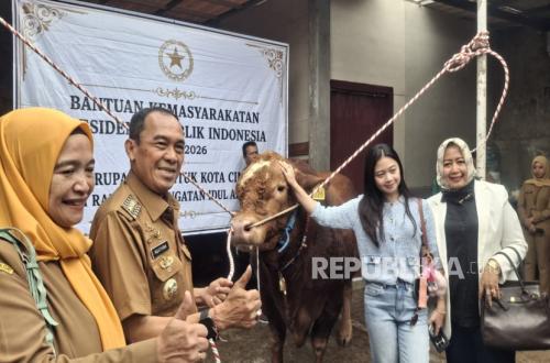 President Prabowo selects 'Dragon Ball' giant cow for Cimahi's Eid al-Adha sacrifice