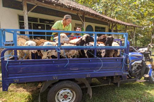 Kurban and Real Value Transfer: Driving Economic Redistribution to Remote Areas