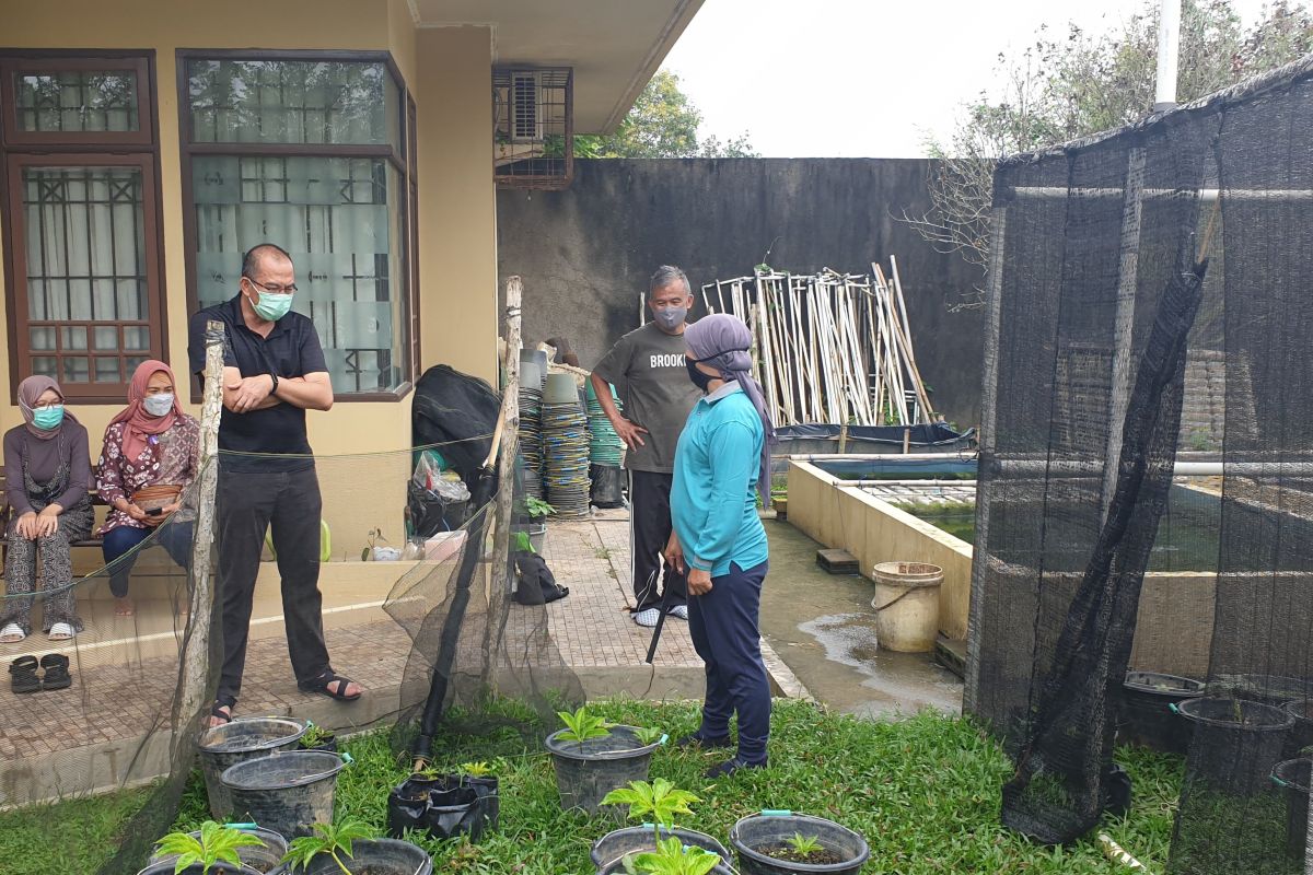 3-in-1 initiative tackles limited agricultural land in Palembang