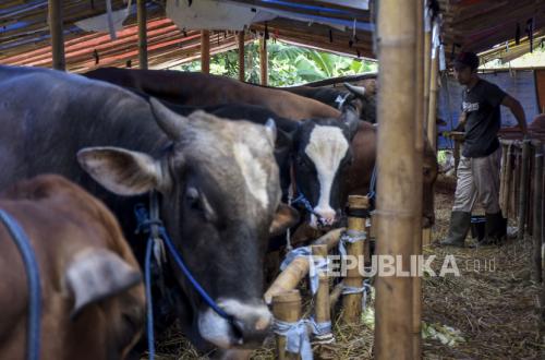 Sharia Economics Review: Qurban's Impact on National Economic Activity