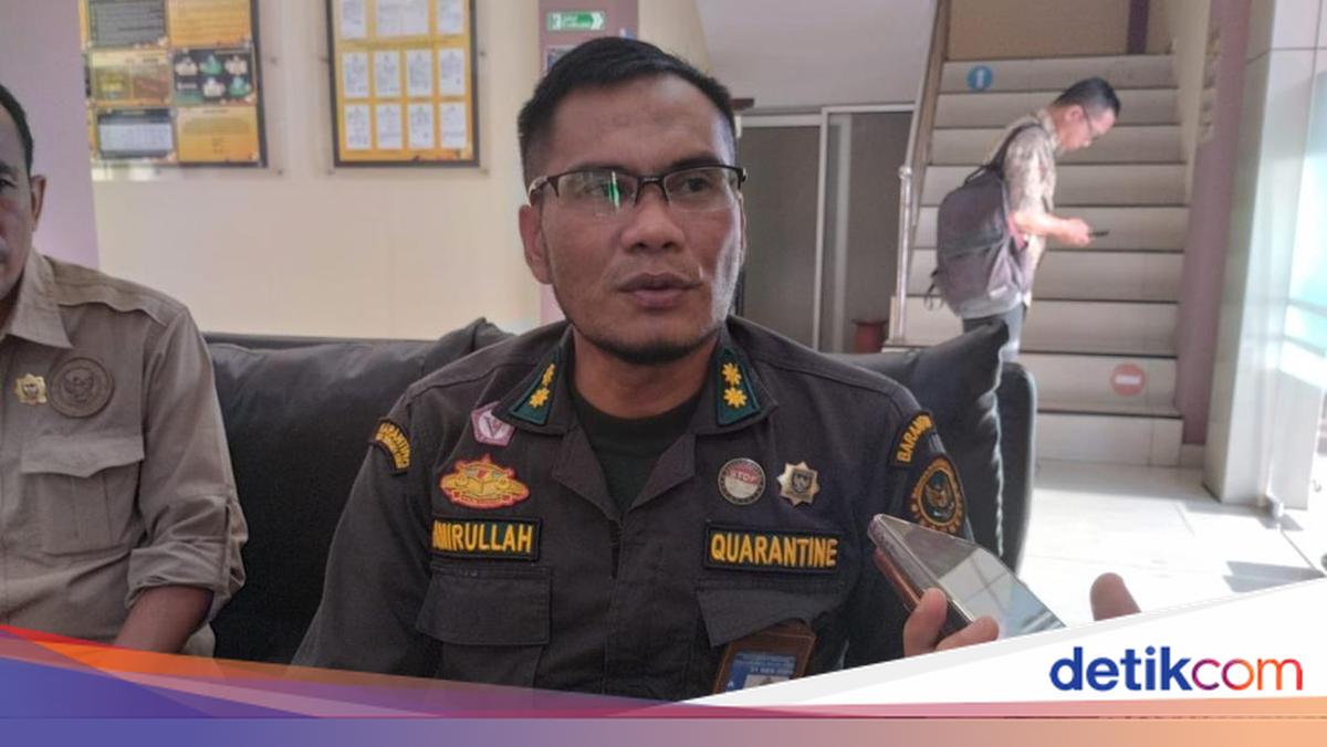 26,979 NTB cattle sent to Jabodetabek for 2026 Eid al-Adha sacrifices