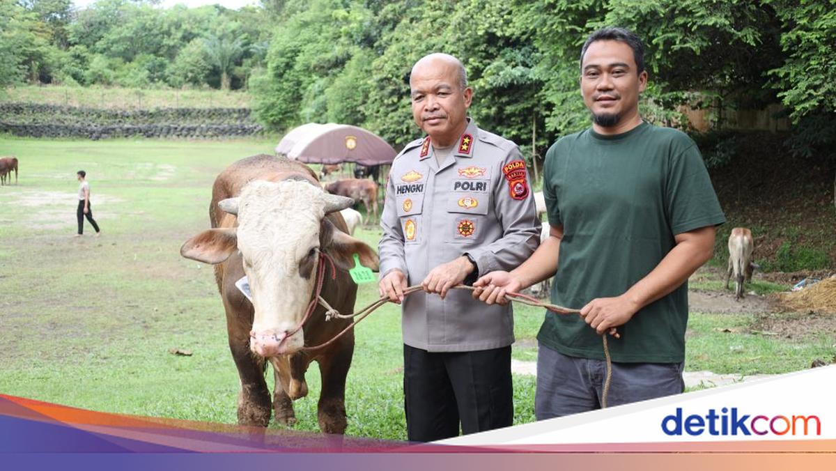 Banten Police Distribute 70 Cows and 5 Goats for Eid al-Adha Sacrifice to Community