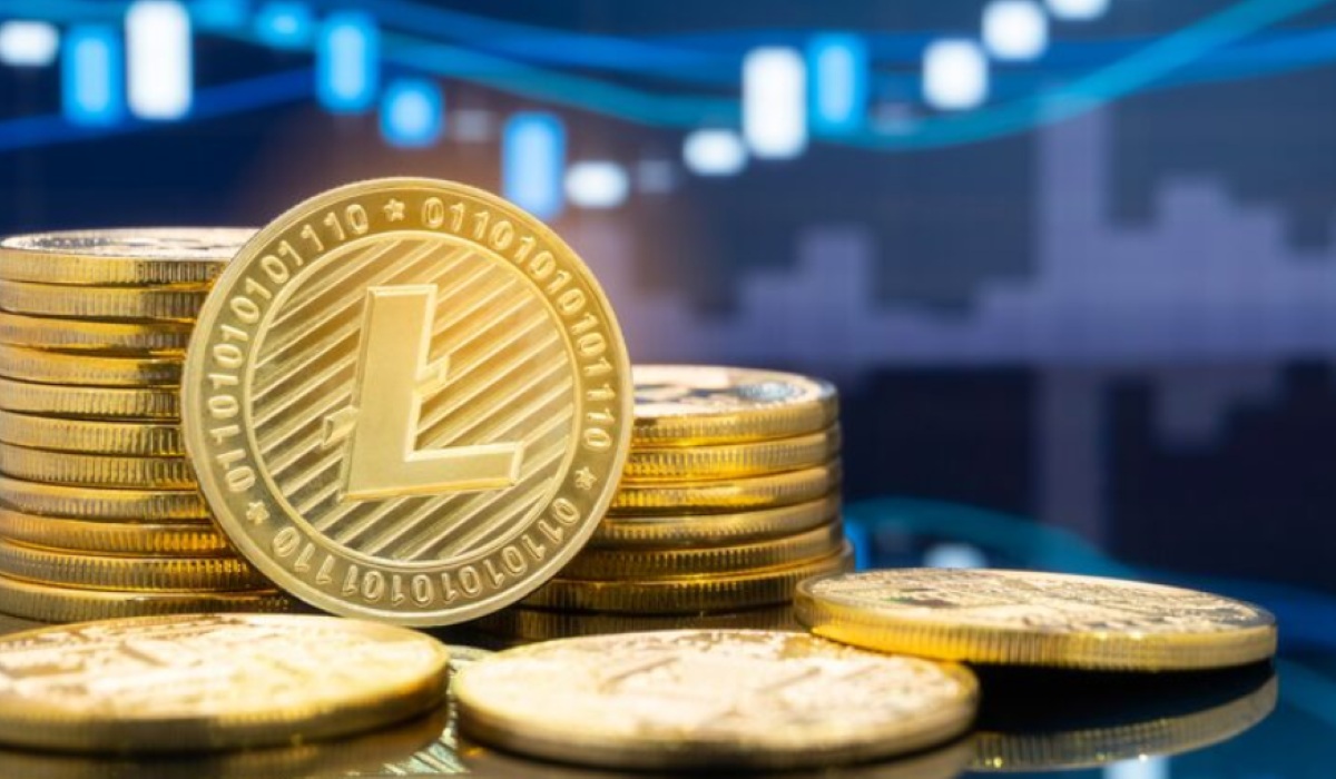 Stablecoins Classified as Private Money, Risky for the Economy?