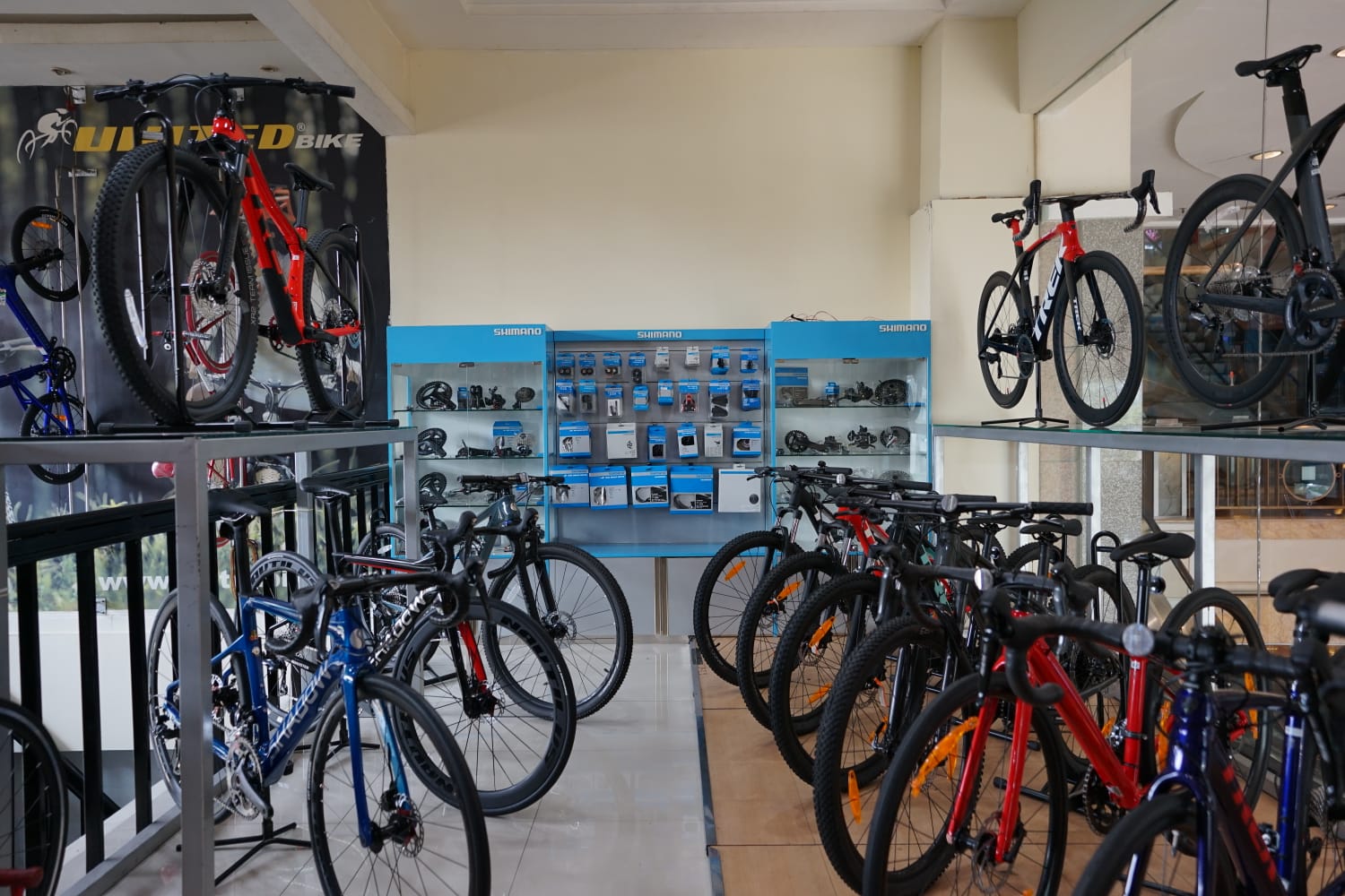 Online Bicycle Sales Grow More Competitive Amid Active Lifestyle Trends