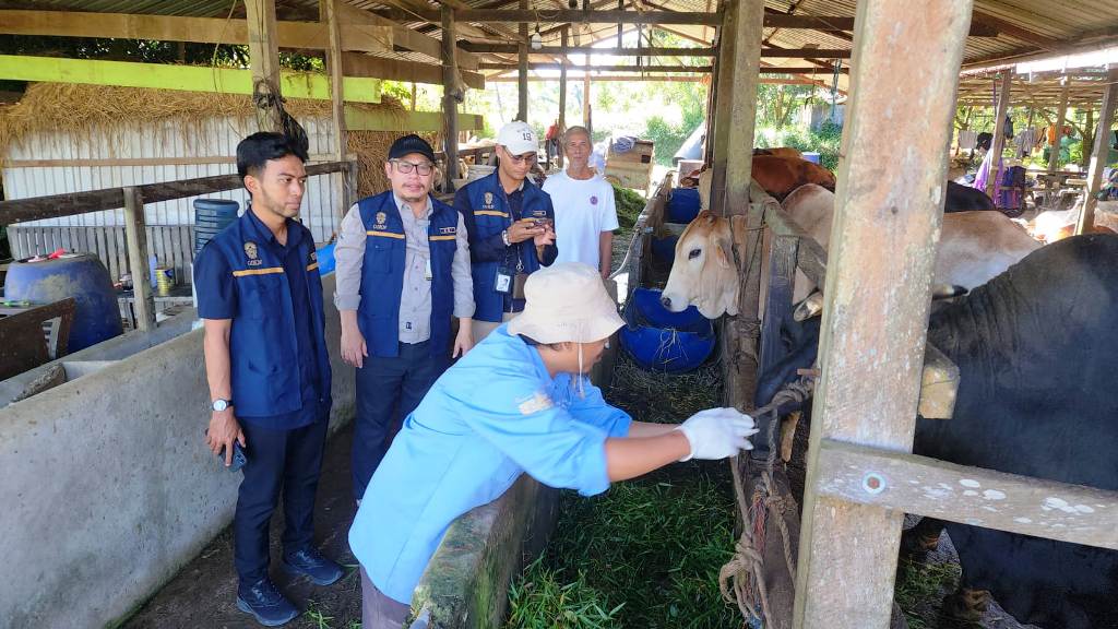 Eid al-Adha 2026: IKN Authority Prepares 37 Healthy Sacrificial Animals