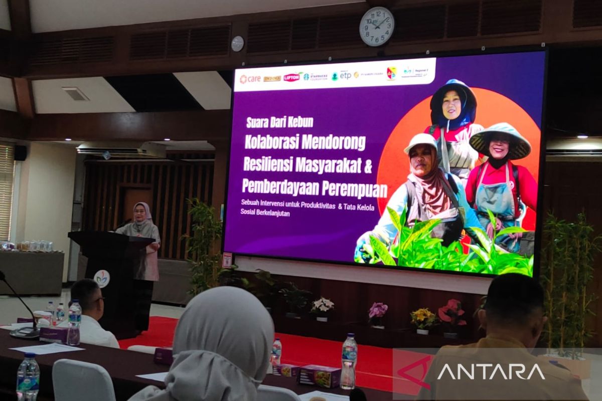 Tea Plantation Collaboration Boosts Women Workers' Welfare and Global Competitiveness