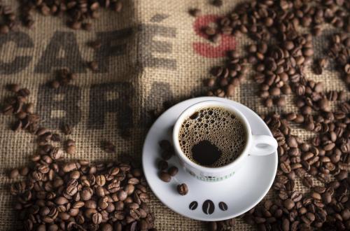 Robusta Futures Show New Momentum, Profit Opportunities?