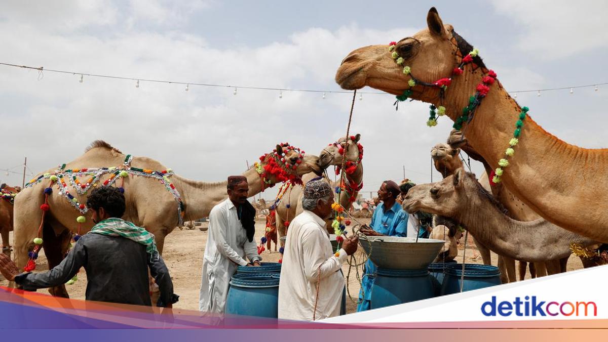Eid al-Adha Traditions Across 8 Countries: From Pakistan to Morocco and Canada